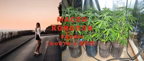 гашик Костерёво