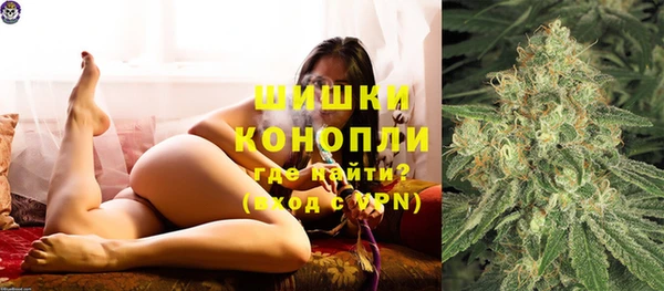 молекула духа Коряжма