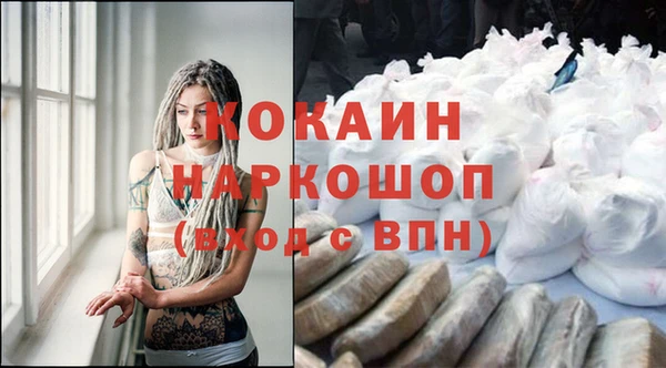 гашик Костерёво