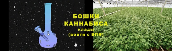 гашик Костерёво